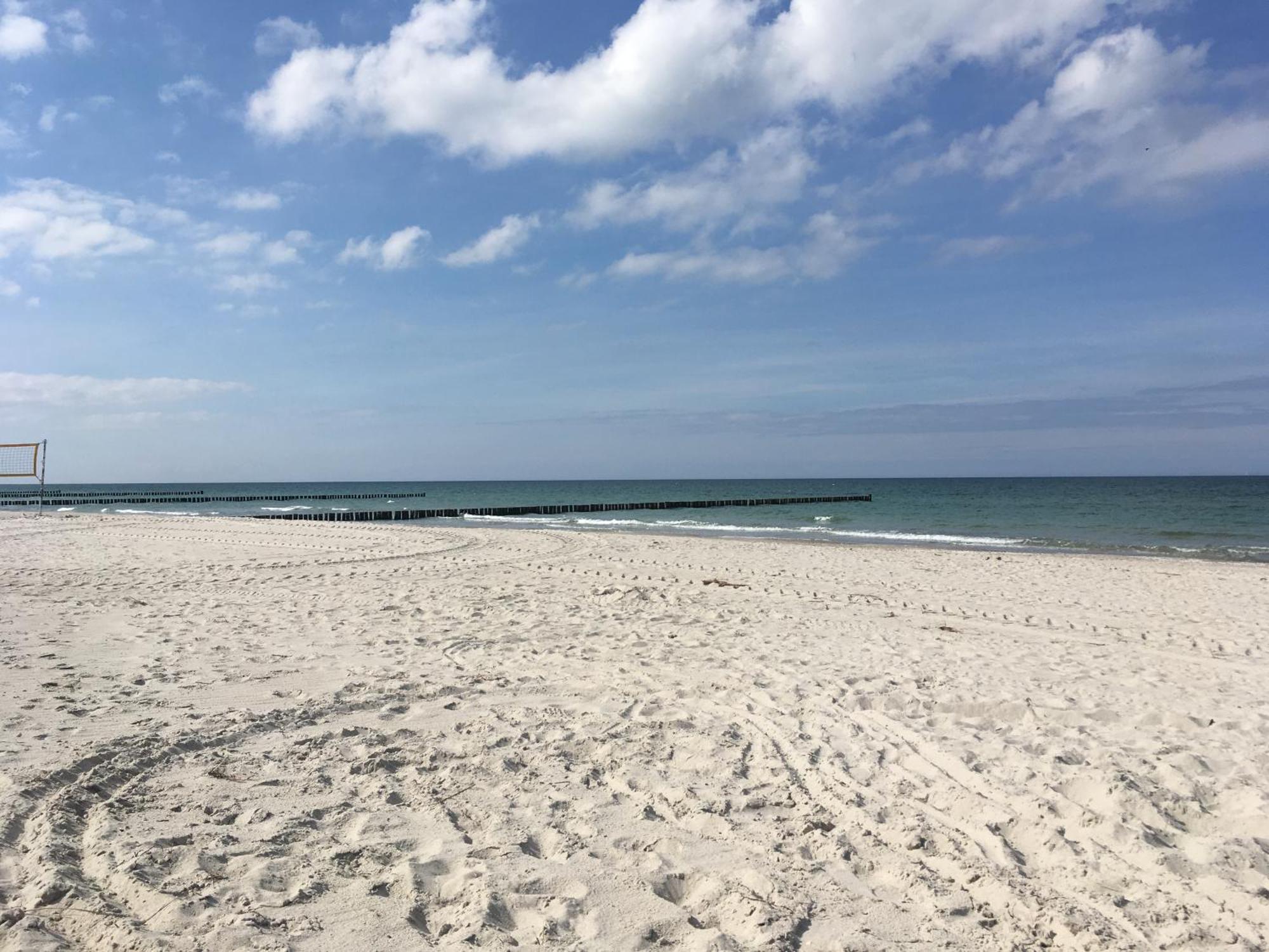 Seepferdchen Zingst Luaran gambar