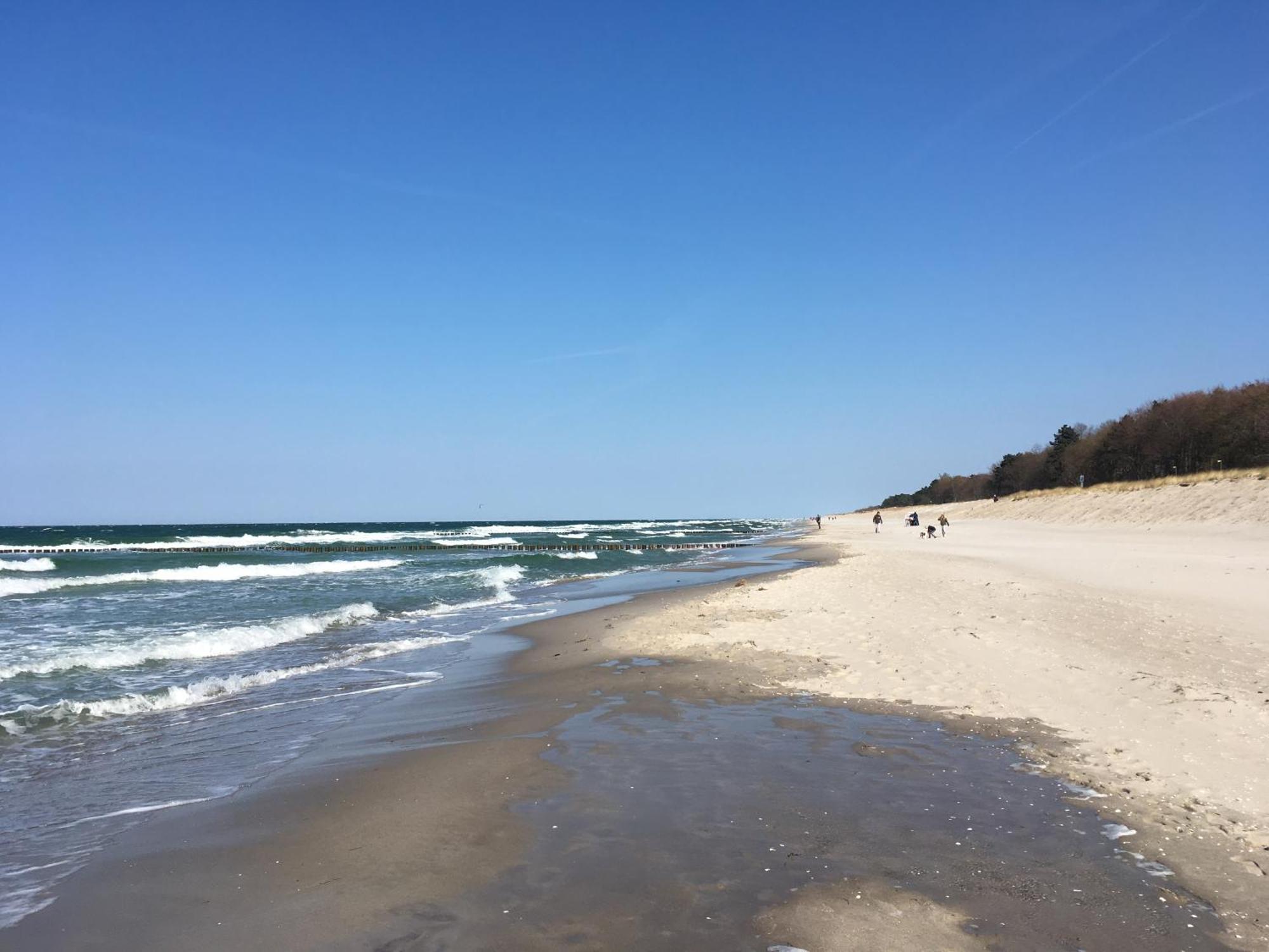 Seepferdchen Zingst Luaran gambar