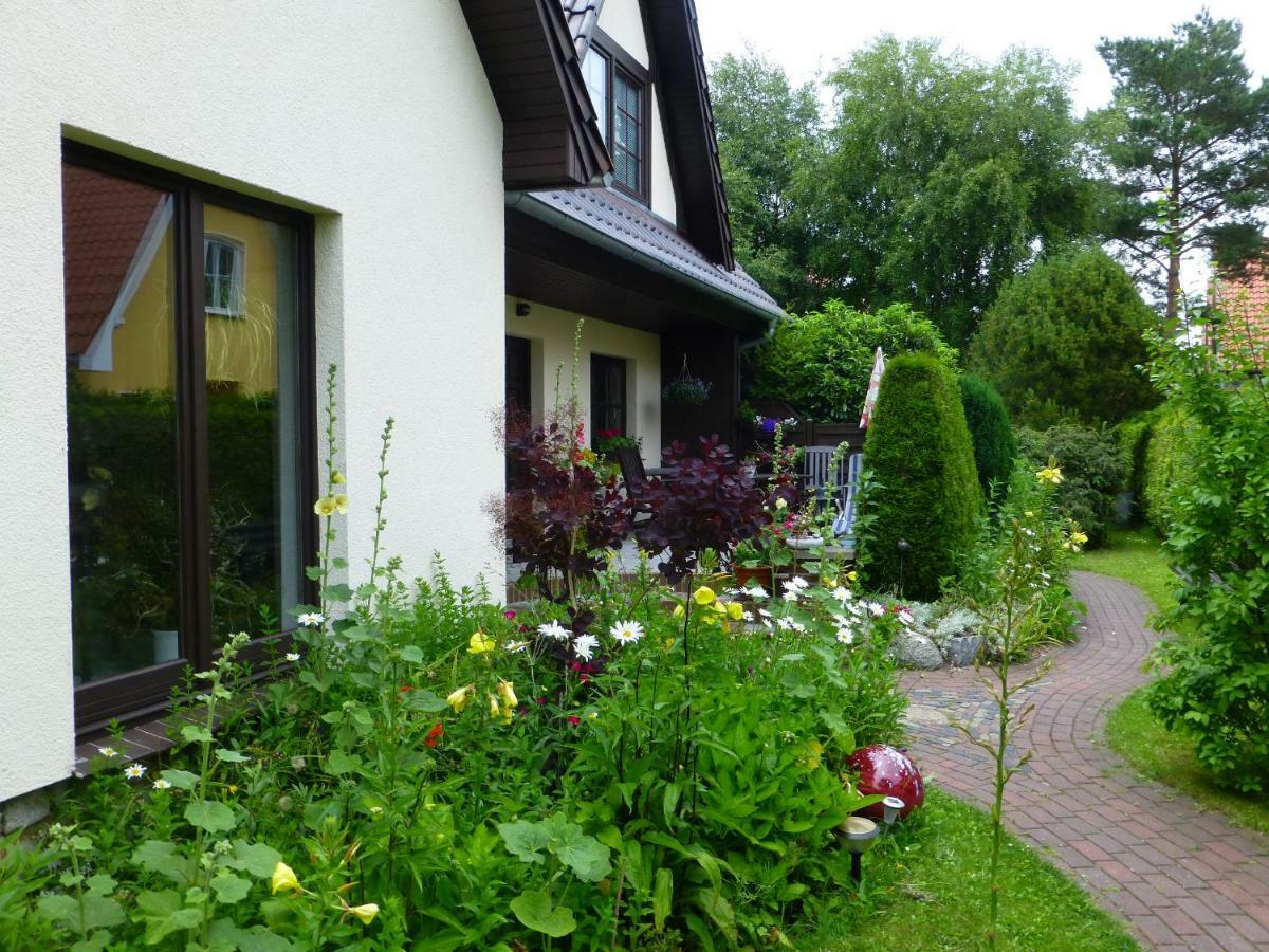 Seepferdchen Zingst Luaran gambar